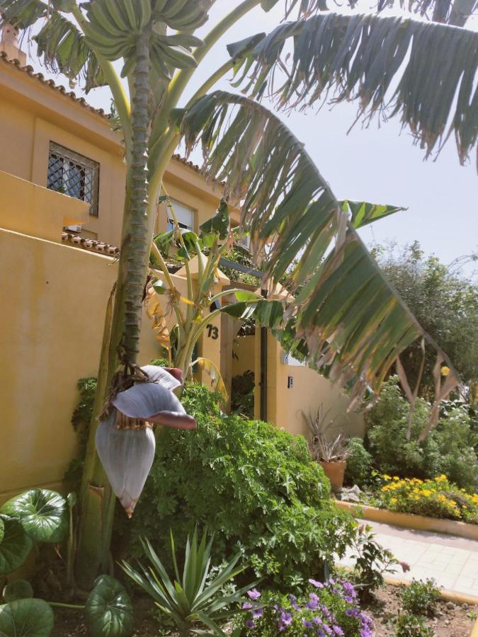 Ferienwohnung Dudi'S Peppers Málaga Exterior foto
